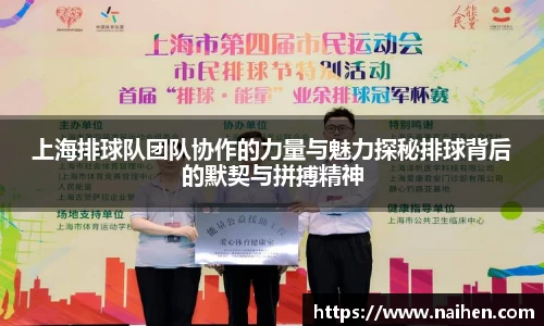 上海排球队团队协作的力量与魅力探秘排球背后的默契与拼搏精神