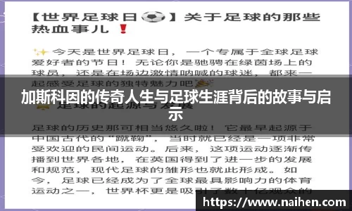 米乐YY易游